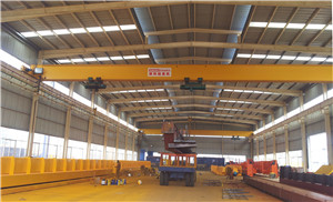 成都郫都區(qū)歐式起重機(jī)廠家